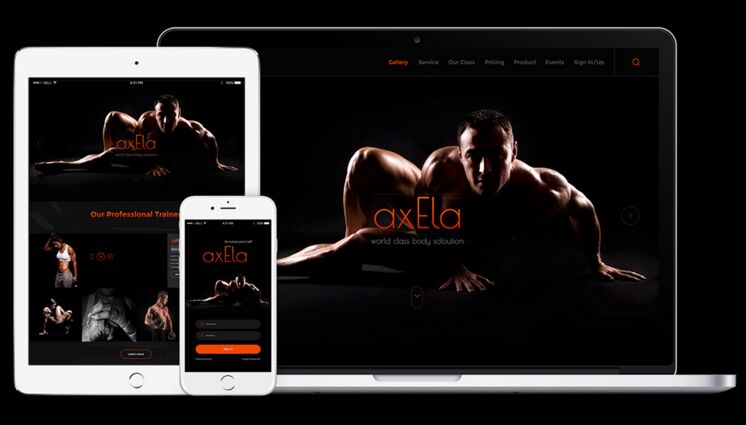 Axela Web Template